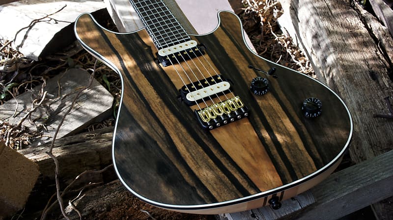 Mayones Regius 6 NAMM 2020 Custom Shop - Royal Ebony Matte